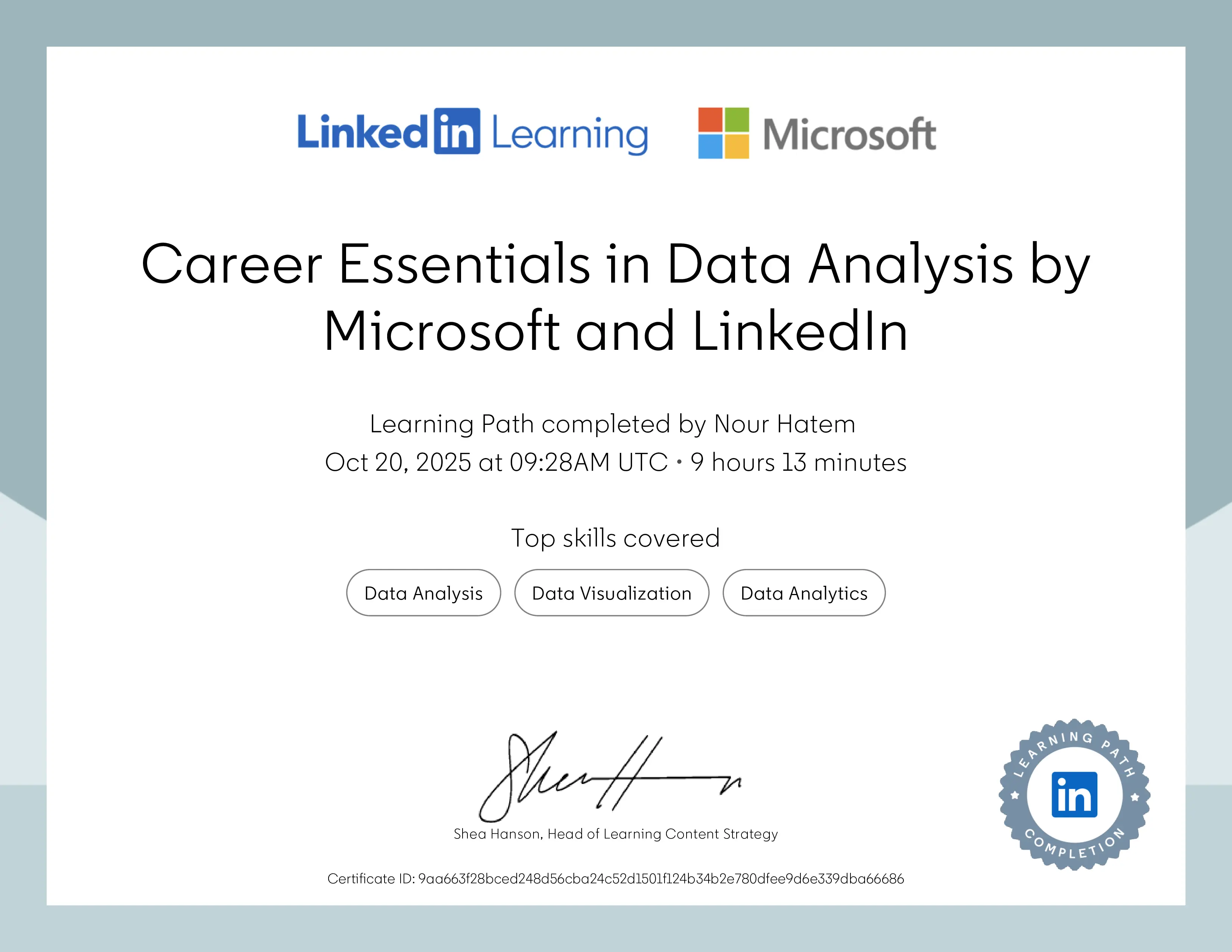 Career Essentials in Data Analysis
